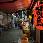 lucia-klasova-dupe - Copie